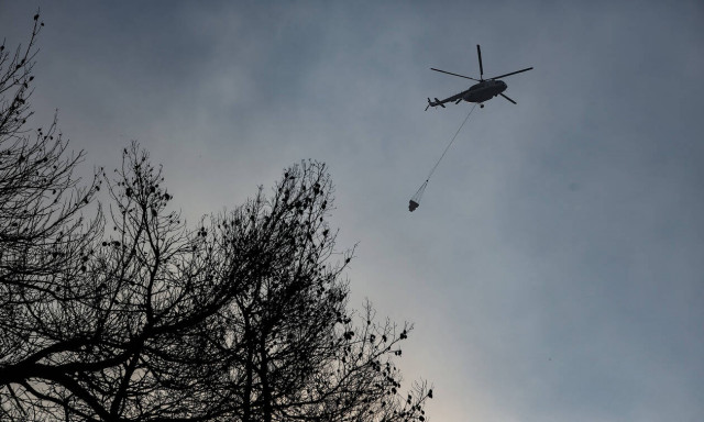 Firefighters struggled throughout the night to contain the fire on Evia	