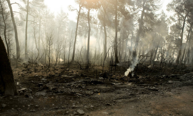 Φωτιά: «Κρανίου τόπος» η Εύβοια – Στάχτη χιλιάδες στρέμματα παρθένου δάσους (pics)