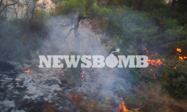 Φωτιά Εύβοια: Συγκλονιστικές εικόνες καταστροφής - Καμένα αυτοκίνητα και περιουσίες