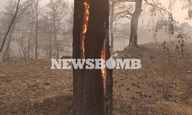 Φωτιά Εύβοια: Μάχη με τις αναζωπυρώσεις - Πού επικεντρώνει τις προσπάθειες η πυροσβεστική