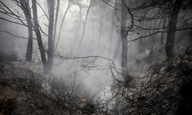 ΙΣΑ: Μέτρα προστασίας από καπνό και υψηλές θερμοκρασίες για έγκυες, παιδιά και ευπαθείς ομάδες