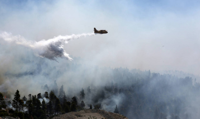 Φωτιά Εύβοια: Μάχη με τις φλόγες για τρίτη μέρα - Περιορισμένη σε χαράδρα η φωτιά