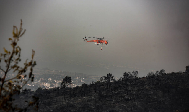 Φωτιά Εύβοια: Ανατροπή - Τι πραγματικά συνέβη με το δάσος Νatura