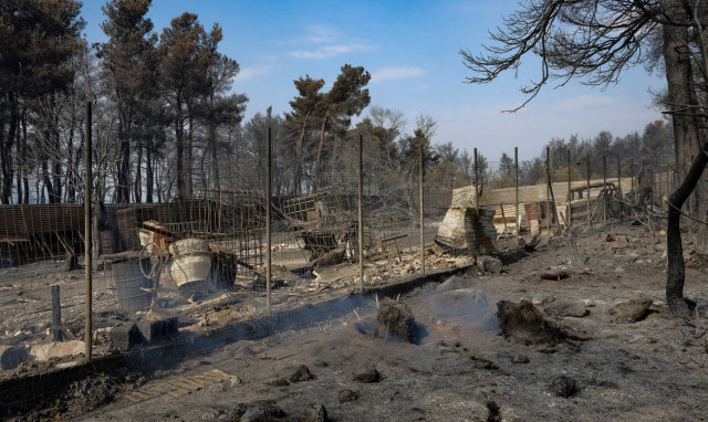 Φωτιά στην Εύβοια: Πότε θα αποζημιωθούν οι αγρότες – Όλος ο σχεδιασμός του ΥΠΑΤΤ