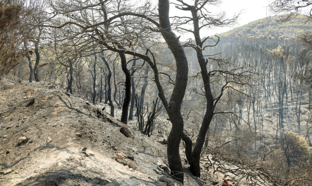 Προειδοποίηση ΣΟΚ: Έρχονται πλημμύρες μετά την φωτιά στην Εύβοια 