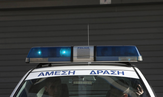 Θηριωδία στο Βόλο: Χτύπησε με καδρόνι γατάκι και το πέταξε σε κάδο (ΣΚΛΗΡΕΣ ΕΙΚΟΝΕΣ)