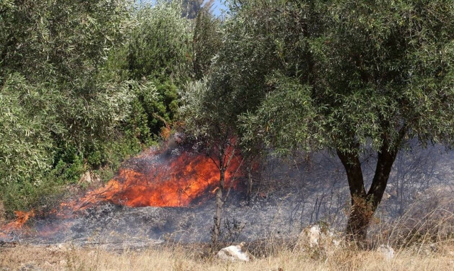 Φωτιά ΤΩΡΑ στην Πάργα - Συναγερμός στην Πυροβεστική