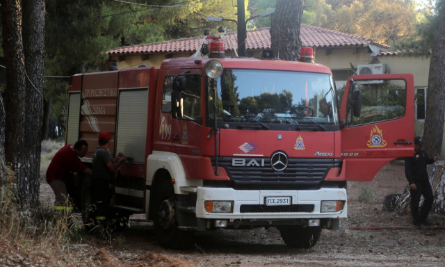 Φωτιά ΤΩΡΑ στη Βοιωτία