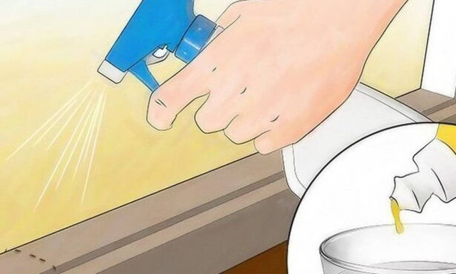 Πώς εξαφανίζονται τα μυρμήγκια με εντελώς φυσικό τρόπο;