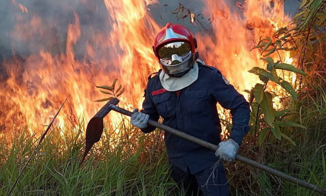 Έγκλημα στον Αμαζόνιο: Φωτογραφίες - εφιάλτης από τον όλεθρο