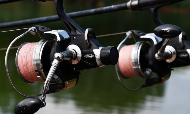 Απόκοσμο πλάσμα: Έβγαλαν ψάρι - «τέρας» σε λίμνη της Νέας Υόρκης (pics)