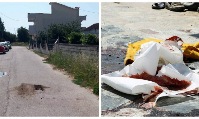 Φονικό στην Καβάλα: Έτσι σκότωσε μάνα και γιο – Τους «τελείωσε» με σκάγια για αγριογούρουνο