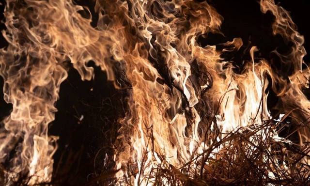 Αμαζόνιος: «Βαριανασαίνει» ο πλανήτης - Φλέγεται ο «πνεύμονας» της Γης - Κινητοποίηση του Στρατού