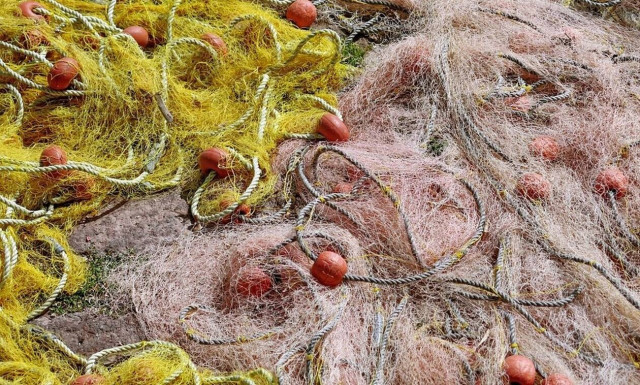 Κρήτη: Εφιάλτης για ψαρά - Σήκωσε τα δίχτυα και αντίκρισε τον τρόμο (pics)