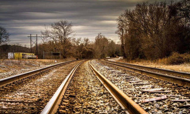 Απίστευτο περιστατικό στην Αλεξανδρούπολη: Βουβάλια συγκρούστηκαν με... τρένο