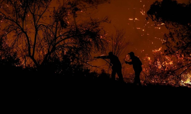 Φωτιά ΤΩΡΑ στο Πεταλίδι Μεσσηνίας