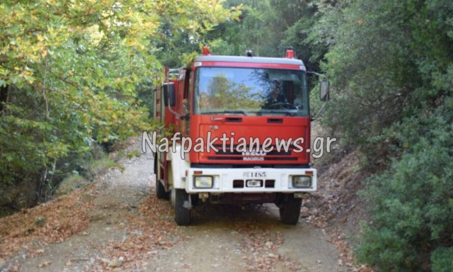 Ναυπακτία: Έβγαλε βόλτα τον σκύλο του - «Πάγωσε» με αυτό που βρήκε (pics)