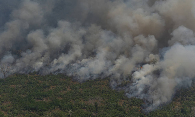 Amazon fires: Brazil to reject G7 offer of $22m aid