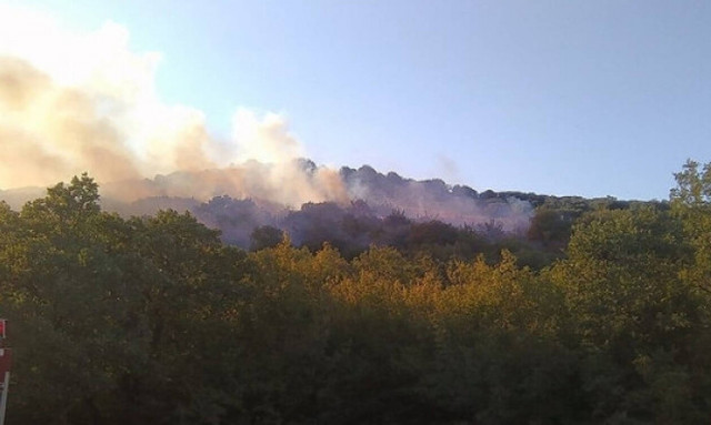 Φωτιά ΤΩΡΑ στην Αλεξανδρούπολη