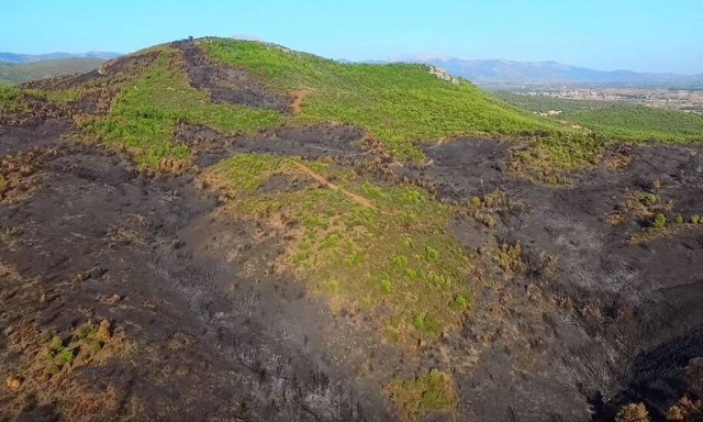 Φωτιά Εύβοια: Το μαύρο... αποτύπωμα από ψηλά