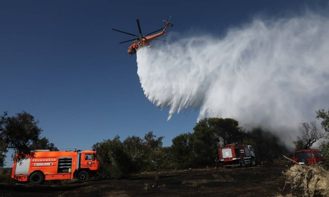 Φωτιά ΤΩΡΑ στην Τανάγρα: Δυνατοί άνεμοι στην περιοχή