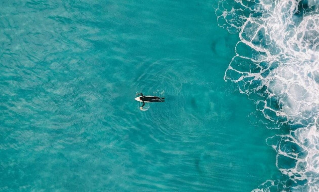 Τρόμος στις ΗΠΑ: Σέρφερ έκανε άλμα στον αέρα και προσγειώθηκε σε καρχαρία δύο μέτρων (vid)