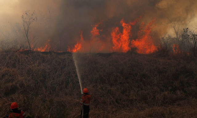 Ο Αμαζόνιος φλέγεται: Ποιοι και πώς επωφελούνται από την καταστροφή;	
