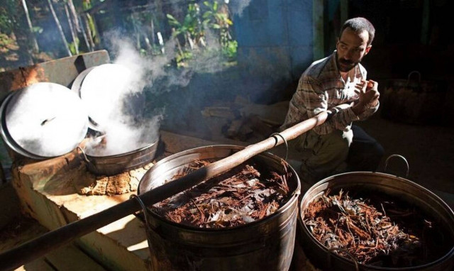 Κύπρος: Αυτό είναι το «ρόφημα του θανάτου» που σκότωσε την 34χρονη - Άφαντος ο Σαμάνος!