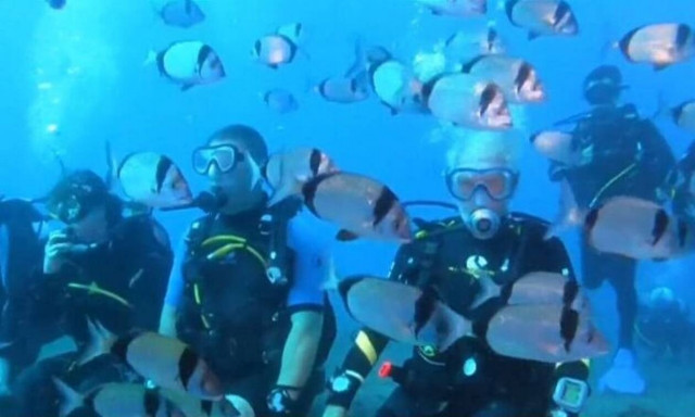 Αυτός είναι ο γηραιότερος δύτης στον κόσμο - Δεν θα πιστεύετε την ηλικία του (vid)