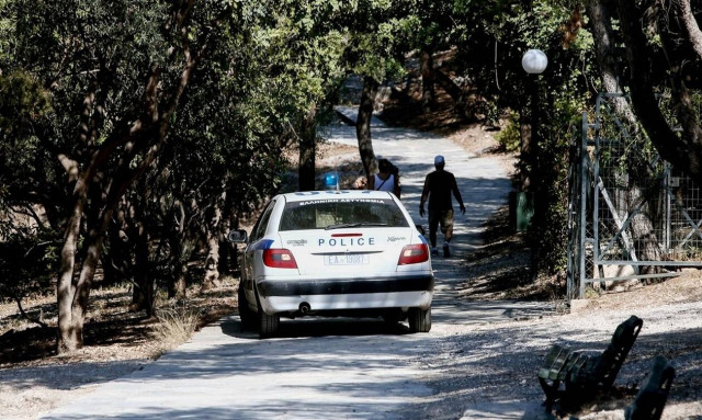 Τρίκαλα: Συνελήφθη 39χρονος για κατοχή αρχαίων και όπλων