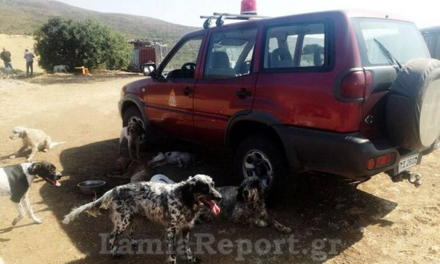 Θήβα: Μεγάλη πυρκαγιά σε κυνοτροφείο - Οι πυροσβέστες έσωσαν τα σκυλιά (pics)