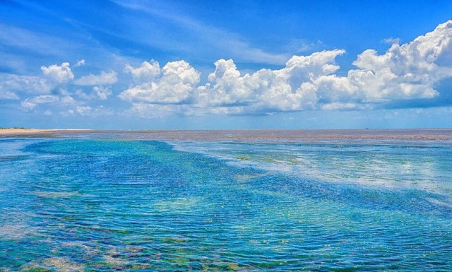 Πανικός σε παραλία: Έτρεχαν να σωθούν οι λουόμενοι – Δείτε τι συνέβη (pics)