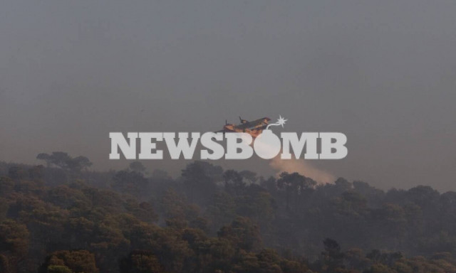 Φωτιά Νέα Μάκρη: Αυτό είναι το προφίλ του εμπρηστή 
