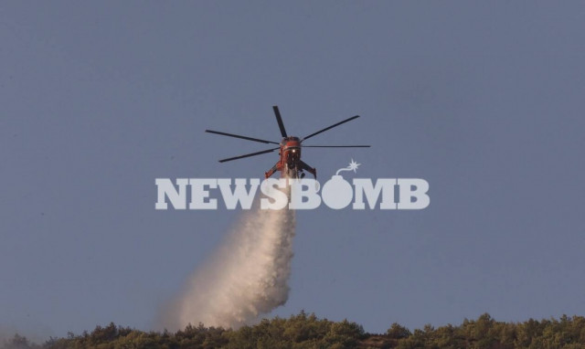 Φωτιά Νέα Μάκρη: Επικεφαλής Πυροσβεστικής - Είναι καθαρά εμπρησμός