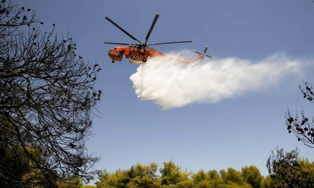 Φωτιά ΤΩΡΑ στο Δομοκό