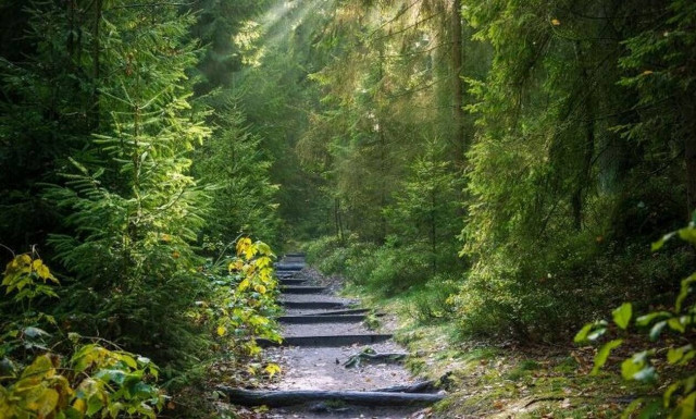 Η ανάκαλυψη που σόκαρε τους επιστήμονες - Δείτε τι εντόπισαν