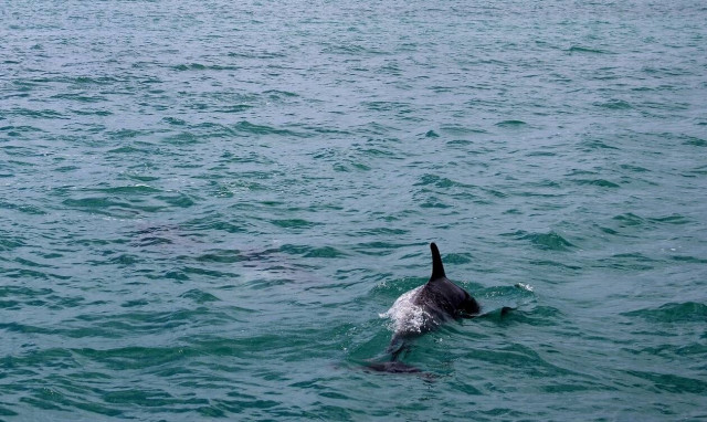 Εύβοια: Η στιγμή που η θάλασσα αφρίζει και συμβαίνει κάτι... άκρως εντυπωσιακό!