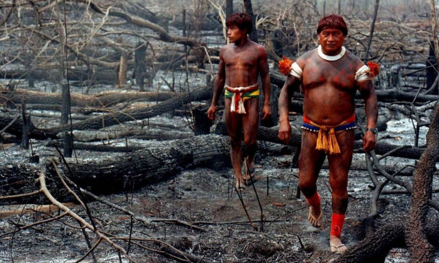 Επτά χώρες της Αμαζονίας υπέγραψαν σύμφωνο για την προστασία του τροπικού δάσους