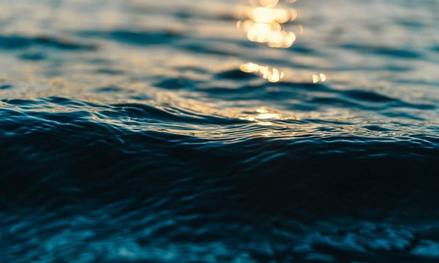 Τρόμος στην Κυλλήνη από την επίσκεψη επικίνδυνου... εισβολέα 