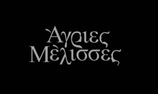 «Άγριες Μέλισσες»: Αυτοί είναι οι ήρωες που θα μας απασχολήσουν στη νέα σειρά του ΑΝΤ1 