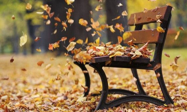 Εποχική τριχόπτωση: Γιατί τα μαλλιά πέφτουν το φθινόπωρο