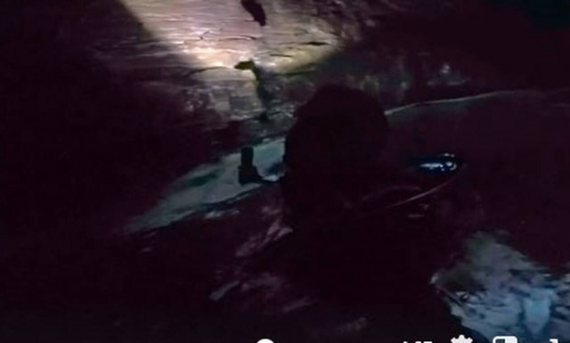 Εύβοια: Χαμός με τον θησαυρό που βρήκαν μέσα στη θάλασσα (vid)