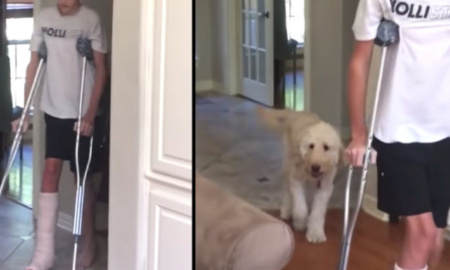 Σκύλος κουτσαίνει ΑΚΡΙΒΩΣ όπως το αφεντικό του! - Δείτε το απίθανο βίντεο