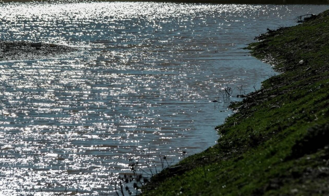 ΣΟΚ στα Τρίκαλα: Νεκρά ψάρια ξεβράζει ο Πηνειός (pics)