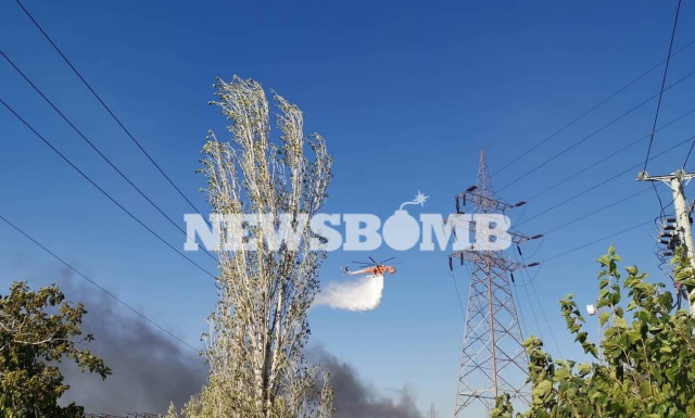 Πύρινος εφιάλτης σε Μενίδι και Κεφαλονιά: Κοντά σε σπίτια οι φλόγες - Εκκενώθηκαν ξενοδοχεία
