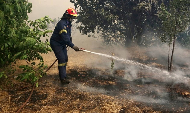 Φωτιά ΤΩΡΑ: Μεγάλη πυρκαγιά στη Ζάκυνθο