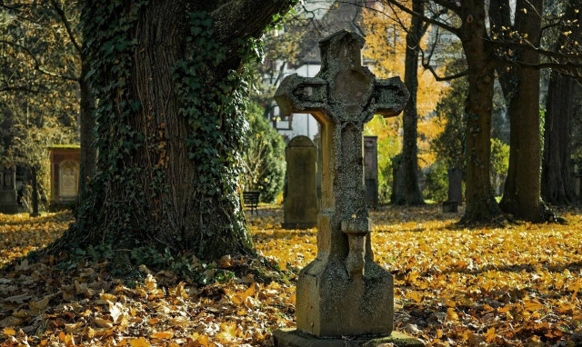 Τρόμος! Τα πτώματα κινούνται μετά το θάνατο - Δείτε τι αποκάλυψε η κάμερα (pics)