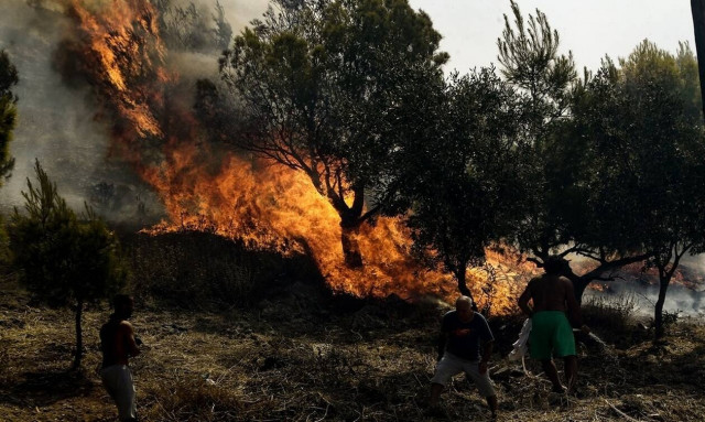 Φωτιά ΤΩΡΑ στη Θεσπρωτία