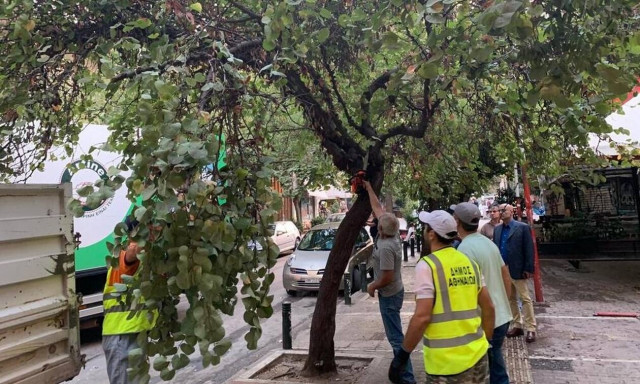 Εξάρχεια: Έτσι απομακρύνθηκε το κοντέινερ των αναρχικών - Καρέ καρέ η επιχείρηση