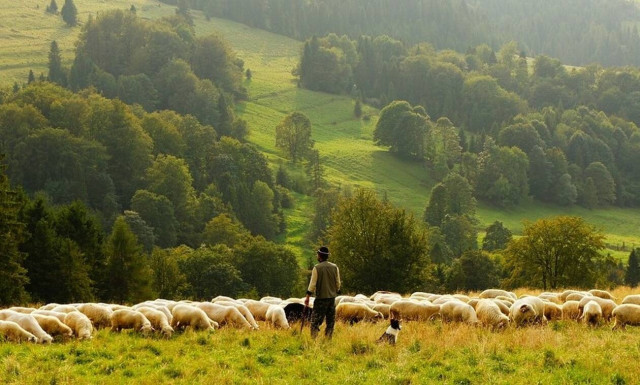 Στα «σκαριά» η αξιοποίηση των μόνιμων βοσκοτόπων